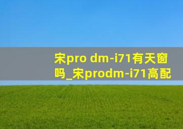 宋pro dm-i71有天窗吗_宋prodm-i71高配